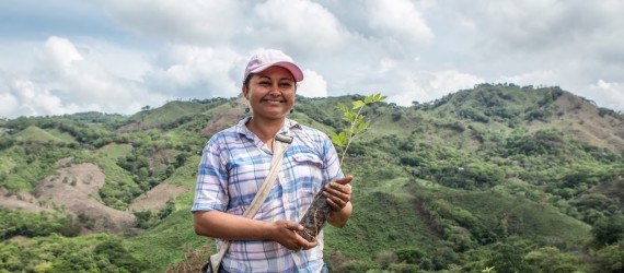 Buckminster Fuller Challenge 2016, Buckminster Fuller Challenge 2016 finalists, socially responsible design’s highest award, Cooperación Comunitaria, The Sentinel Project’s Una Hakika, Taking Root’s CommuniTree, PITCHAfrica’s Waterbank Schools