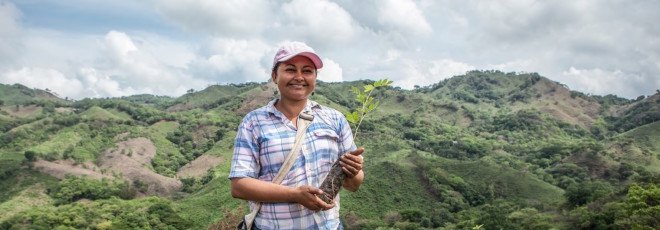 Buckminster Fuller Challenge 2016, Buckminster Fuller Challenge 2016 finalists, socially responsible design’s highest award, Cooperación Comunitaria, The Sentinel Project’s Una Hakika, Taking Root’s CommuniTree, PITCHAfrica’s Waterbank Schools