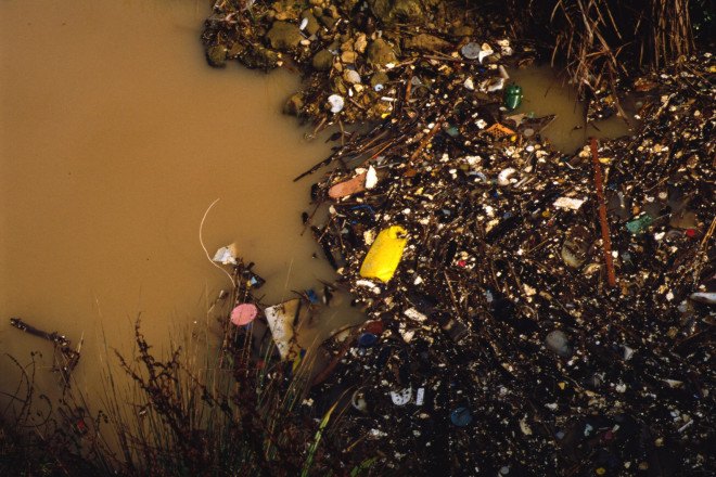 rio de janeiro pollution, brazil water pollution, rio de janeiro water pollution, olympics pollution, olympics contamination, olympics 2016, adenovirus brazil, adenovirus rio de janeiro