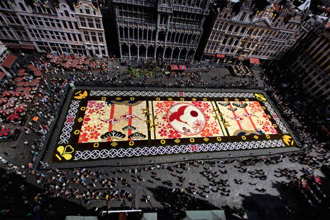 belgium, flower carpet, public art, brussels,belgium art,brussels flower art,flower carpet brussels, flowers, begonias, europe