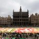belgium, flower carpet, public art, brussels,belgium art,brussels flower art,flower carpet brussels, flowers, begonias, europe