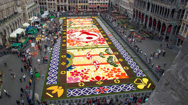belgium, flower carpet, public art, brussels,belgium art,brussels flower art,flower carpet brussels, flowers, begonias, europe