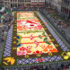 belgium, flower carpet, public art, brussels,belgium art,brussels flower art,flower carpet brussels, flowers, begonias, europe