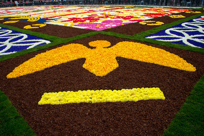 belgium, flower carpet, public art, brussels,belgium art,brussels flower art,flower carpet brussels, flowers, begonias, europe