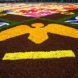 belgium, flower carpet, public art, brussels,belgium art,brussels flower art,flower carpet brussels, flowers, begonias, europe