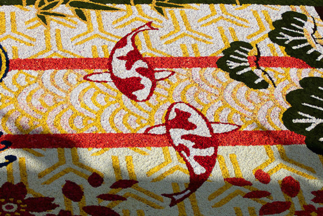 belgium, flower carpet, public art, brussels,belgium art,brussels flower art,flower carpet brussels, flowers, begonias, europe
