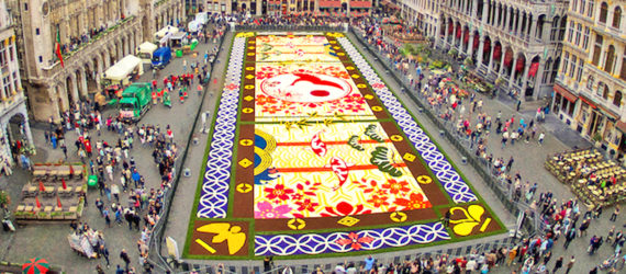 belgium, flower carpet, public art, brussels,belgium art,brussels flower art,flower carpet brussels, flowers, begonias, europe