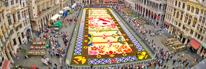 belgium, flower carpet, public art, brussels,belgium art,brussels flower art,flower carpet brussels, flowers, begonias, europe