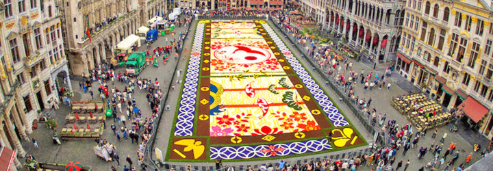 belgium, flower carpet, public art, brussels,belgium art,brussels flower art,flower carpet brussels, flowers, begonias, europe