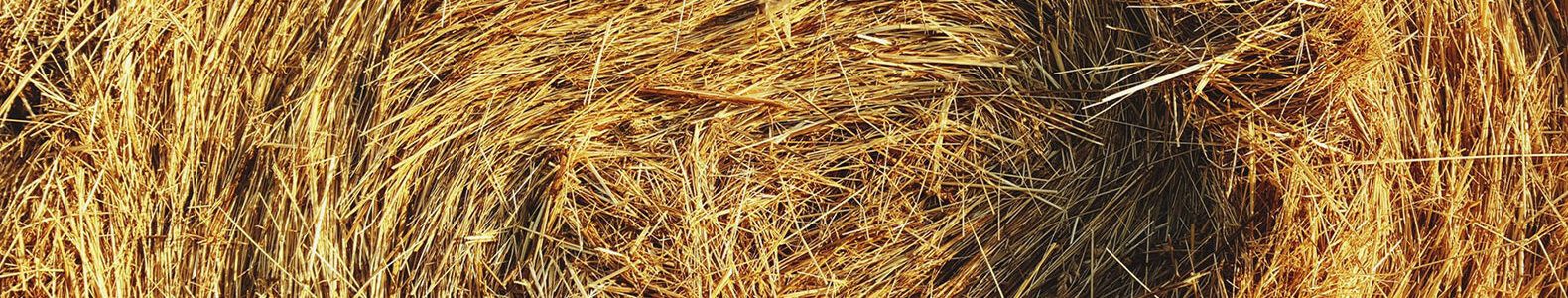 close-up of straw bale