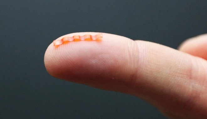caterpillars, caterpillar robot, laser beams, university of warsaw, soft robots, animal inspired robots, robotics, robot design,light sensitive materials, light controlled robot