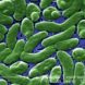 Cholera, global warming, deadly diseases