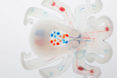 harvard, harvard university, octobot, soft robots, soft bodied robot, robots, chemical reaction, hydrogen peroxide fuel, hydrogen peroxide, octopus