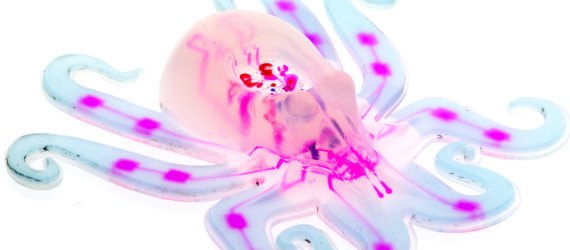 harvard, harvard university, octobot, soft robots, soft bodied robot, robots, chemical reaction, hydrogen peroxide fuel, hydrogen peroxide, octopus