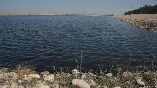 wastewater, water treatment, serapium forest, egypt, desert, desertification, tree plantations, sewage, sewage effluent