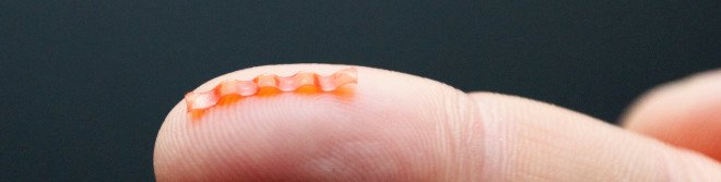 caterpillars, caterpillar robot, laser beams, university of warsaw, soft robots, animal inspired robots, robotics, robot design,light sensitive materials, light controlled robot