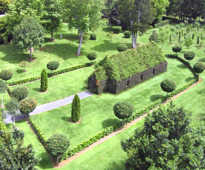tree church, new zealand