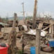 typhoon lionrock, north korea, flood, flooding, natural disaster, international aid, flood relief, Korean Central News Agency, red cross