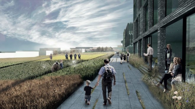 William McDonough + Partners, GXN, 3XN Architects, BCVA, Urland, AFP, Agro Food Park, Aarhus, Denmark, Silicon Valley of Agriculture, AFP, The Danish Agriculture & Food Council, Agro urban ecosystem design, food and agriculture hub Denmakr,