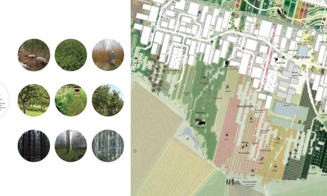 Bill mcdonough, urban farming, agriculture, cradle to cradle, agro-urbanism, design, Danish design, urban agriculture, Aarhus, Denmark, agro food park, food production,