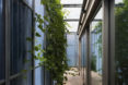 Casa en una Casa, House within a house, Plural architects, detached house, Slovakia, swimming pool, natural light, rear garden, storage spaces, green architecture