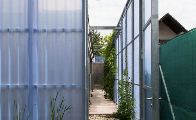 Casa en una Casa, House within a house, Plural architects, detached house, Slovakia, swimming pool, natural light, rear garden, storage spaces, green architecture