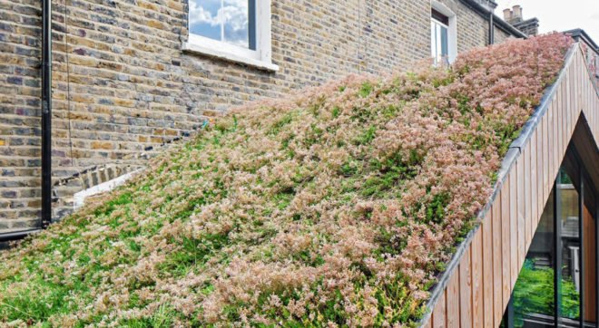 Clapton House, Scenario Architecture, green renovation, Victorian villa, timber cladding, green extension, green architecture, natural light, conservatory
