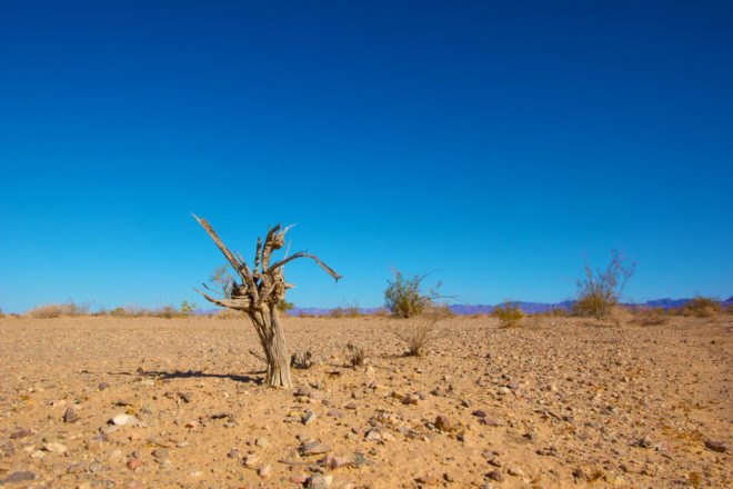 Climate change, global warming, warming, temperatures, hot temperatures, temperature record, raising temperatures, Earth, Earth's temperatures, scientific study, study