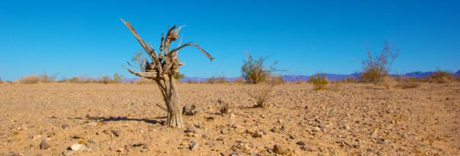 Climate change, global warming, warming, temperatures, hot temperatures, temperature record, raising temperatures, Earth, Earth's temperatures, scientific study, study