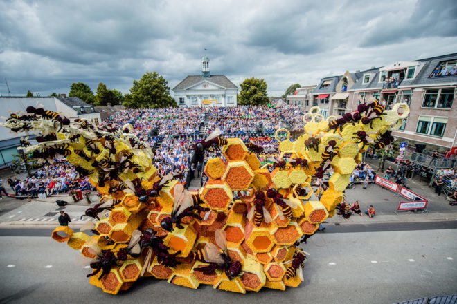 Corso Zundert, Zundert, Netherlands, the Netherlands, 2016 Corso Zundert, flower, flowers, flower parade, flower floats, dahlia, dahlias, dahlia floats, Busy