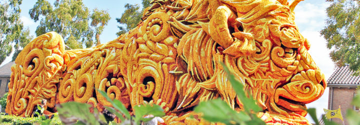 Corso Zundert, Corso Zundert flower parade, 2016 Corso Zundert, Dangerous Transportation, flower parade Netherlands, flower parade, world's biggest flower parade, parade floats flowers, parade floats dahlias