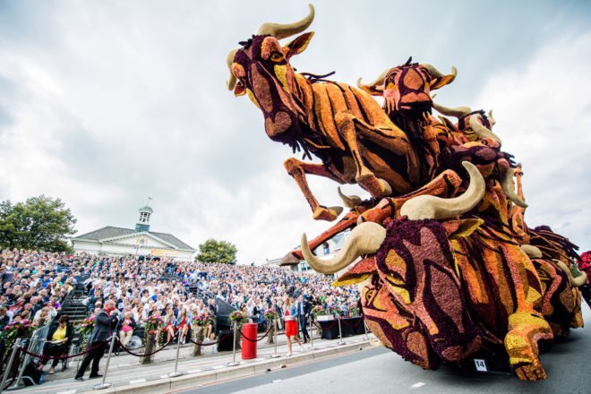 Corso Zundert, Zundert, Netherlands, the Netherlands, 2016 Corso Zundert, flower, flowers, flower parade, flower floats, dahlia, dahlias, dahlia floats, Wildebeest