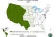 mountain lions, cougars, eastern cougars, wildlife, extinct species, extinct subspecies, tennessee, kentucky, virgina, blue ridge mountains, fish and wildlife service