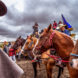 dakota access, dakota access pipeline, dapl, pipeline, bakken pipeline, sioux tribe, standing rock, standing rock sioux, protestors, pipeline protests, north dakota, energy transfer