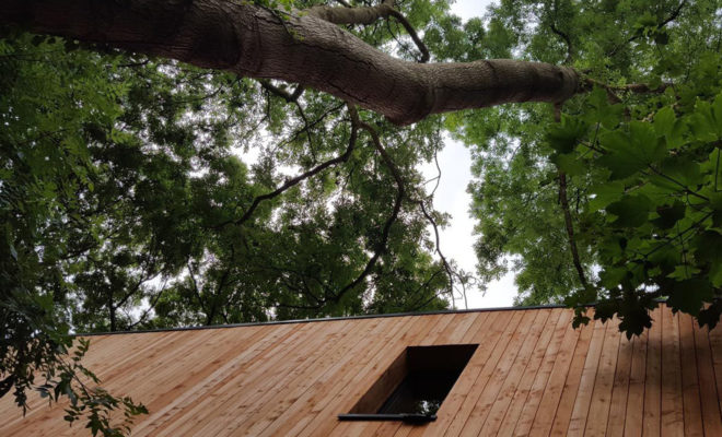 Dursley treehouse, Millar + Howard Workshop, England, building permit, Passive House certification, Passive House, treehouse, protected area, green architecture