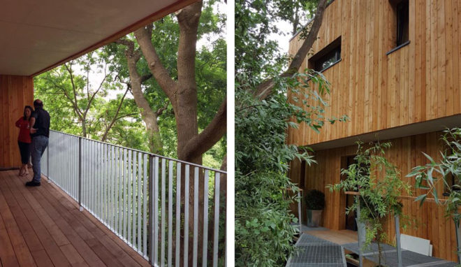 Dursley treehouse, Millar + Howard Workshop, England, building permit, Passive House certification, Passive House, treehouse, protected area, green architecture