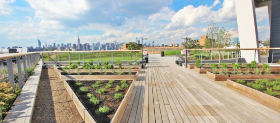 william vale hotel, rooftop park, elevated park, rooftop garden, williamsburg hotel, vale park, williamsburg park, williamsburg hotel city views, william vale, williamsburg rooftop, hotel williamsburg, vale hotel, landscape design, rooftop park