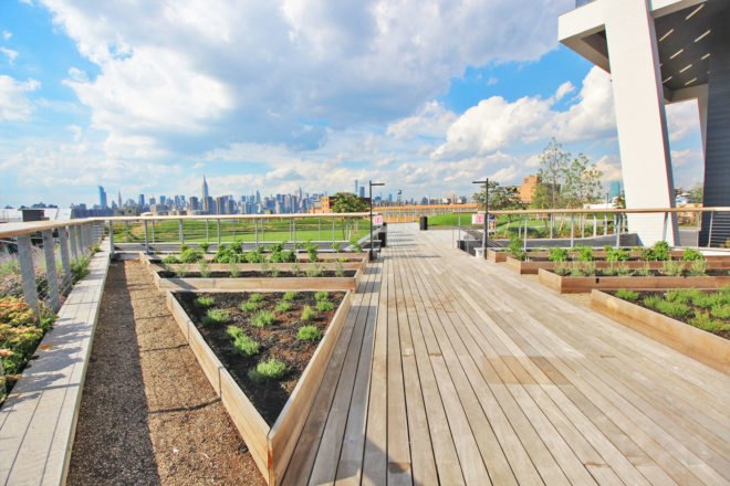 william vale hotel, rooftop park, elevated park, rooftop garden, williamsburg hotel, vale park, williamsburg park, williamsburg hotel city views, william vale, williamsburg rooftop, hotel williamsburg, vale hotel, landscape design, rooftop park