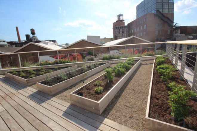 william vale hotel, rooftop park, elevated park, rooftop garden, williamsburg hotel, vale park, williamsburg park, williamsburg hotel city views, william vale, williamsburg rooftop, hotel williamsburg, vale hotel, landscape design, rooftop park