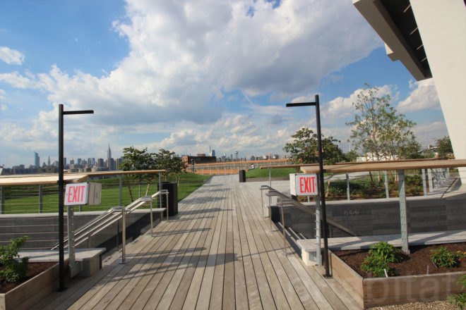 william vale hotel, rooftop park, elevated park, rooftop garden, williamsburg hotel, vale park, williamsburg park, williamsburg hotel city views, william vale, williamsburg rooftop, hotel williamsburg, vale hotel, landscape design, rooftop park