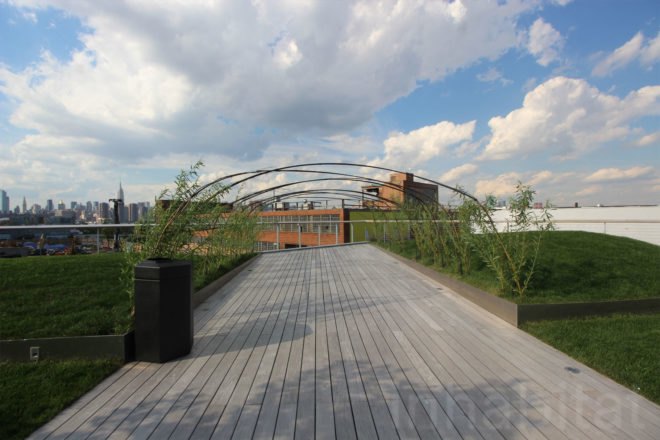 william vale hotel, rooftop park, elevated park, rooftop garden, williamsburg hotel, vale park, williamsburg park, williamsburg hotel city views, william vale, williamsburg rooftop, hotel williamsburg, vale hotel, landscape design, rooftop park