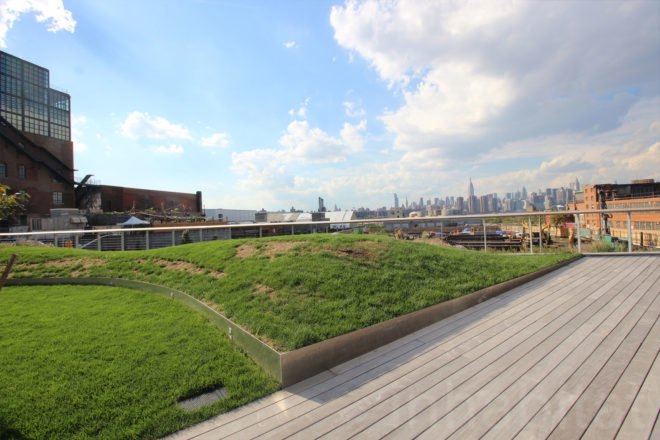 william vale hotel, rooftop park, elevated park, rooftop garden, williamsburg hotel, vale park, williamsburg park, williamsburg hotel city views, william vale, williamsburg rooftop, hotel williamsburg, vale hotel, landscape design, rooftop park