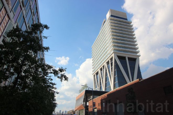 william vale hotel, rooftop park, elevated park, rooftop garden, williamsburg hotel, vale park, williamsburg park, williamsburg hotel city views, william vale, williamsburg rooftop, hotel williamsburg, vale hotel, landscape design, rooftop park