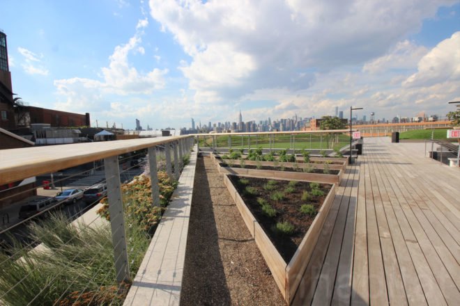 william vale hotel, rooftop park, elevated park, rooftop garden, williamsburg hotel, vale park, williamsburg park, williamsburg hotel city views, william vale, williamsburg rooftop, hotel williamsburg, vale hotel, landscape design, rooftop park