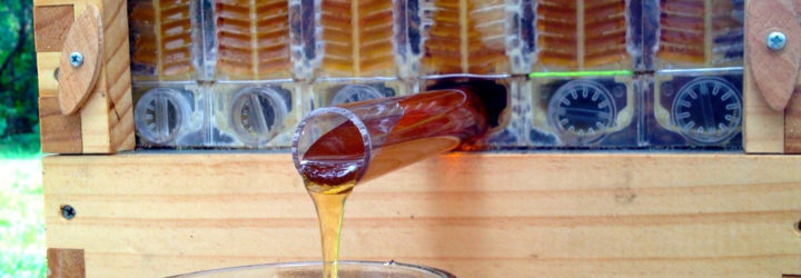 flow hive, bees, beekeeping, backyard beekeeping, honey production, crowdfunding campaign, successful crowdfunding, crowdfunded inventions, viral crowdfunding campaigns