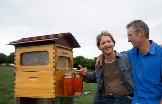flow hive, bees, beekeeping, backyard beekeeping, honey production, crowdfunding campaign, successful crowdfunding, crowdfunded inventions, viral crowdfunding campaigns