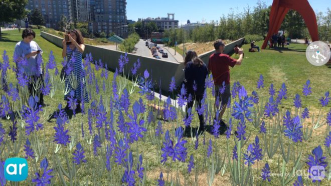 tamiko thiel, gardens of the anthropocene, seattle art museum, olympic sculpture park, futuristic plants, augmented reality, ar installation, climate change plants, global warming plants