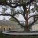 Kaplan Family Pavilion, City of Hope, research and treatment center, outdoor garden, LEED Platinum certification, pavilion, Belzberg Architects, medical center, green architecture, LEDs, LED lighting, concrete walls, drought-tolerant plant species
