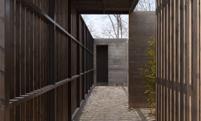 Korean Dandelion Farm, Archihood WXY, dandelions, South Korea, concrete, green retreat, courtyard, green architecture