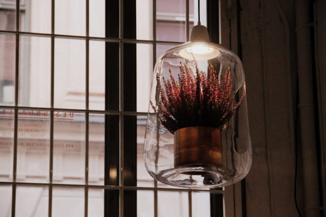 Lightovo, Milo, Milo by Lightovo, Milo Baby, Milo Baby by Lightovo, planter lamp, planter, plants, plant, nature, flowers, flower, succulents, succulent, herbs, herb, LED, LED light, sunlight, sunshine, product design